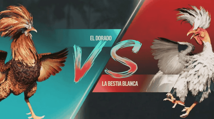 cjc777 Login para Jogos de Slots